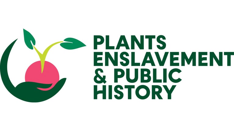 Plants, Enslavement and Public History logo, featuring a stylised green hand holding a pink seed with green shoots and leaves, alongside the project name in dark green lettering.